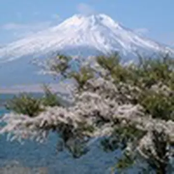 Владислав Дамницкий