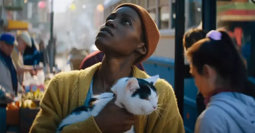 За дебютные выходные фильм Тихое место: День первый собрал в США 53 миллиона долларов, что является лучшим показателем в истории серии