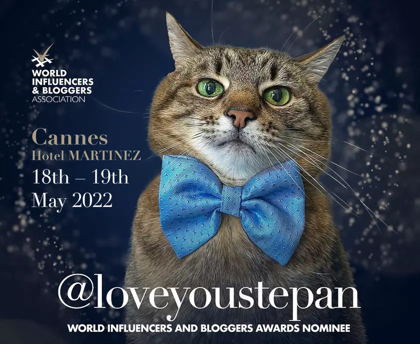 Кот Степан может стать самым влиятельным блогером 2022 года