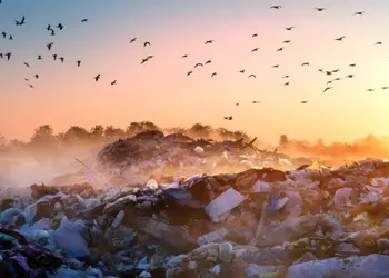 Новое исследование раскрывает ужасное влияние свалок на климат