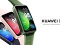 post_big/Huawei_Band_8_in_Germany.jpg