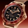 Omega Seamaster Diver 300M en bronze et boîtier en or