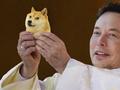 post_big/dogecoin-elon-musk-snl-memes.jpg