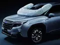 post_big/SUbaru-Forester-Airbag.jpg