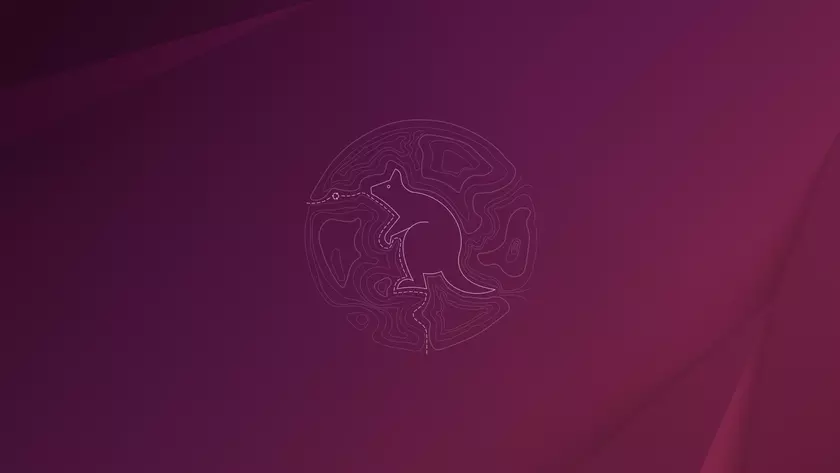 Questing Quokka: Инновационные тематические обои для гиков