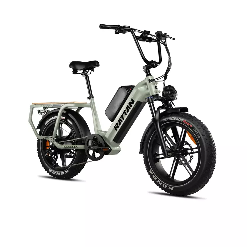 5 Best RATTAN Electric Bikes of 2026 | Official RATTAN Ebikes Comparison by  GAGADGET