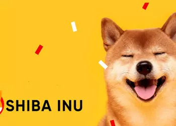 Пользователь инвестировал $8 000 в криптовалюту Shiba Inu и заработал более $5 000 000 000