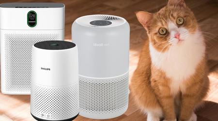 Best Air Purifiers for Cats