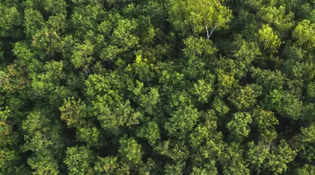 Сонячні станції та перероблений пластик: як Samsung просуває екологічну діяльність