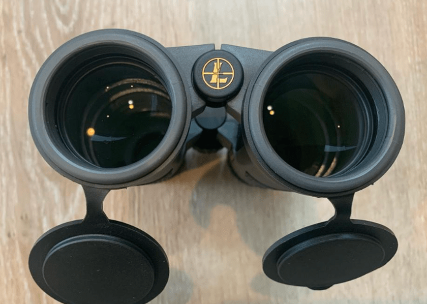 Leupold BX-4 Pro Guide HD 10x50 Sport Binoculars