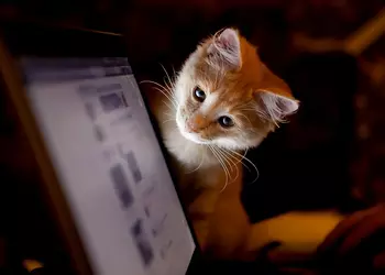 «ВКонтакте» готовится к смене дизайна