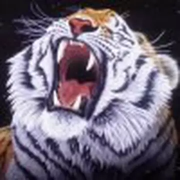 Виталий Семёнов