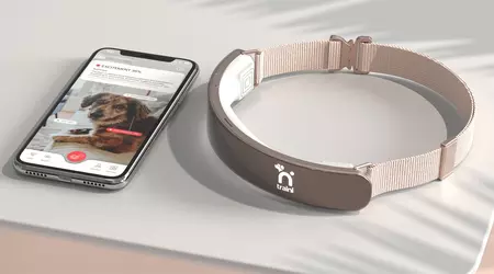 Les chiens vont-ils parler ? La startup Traini a levé 7,5 millions de dollars pour apprendre à l'IA à comprendre les émotions des animaux de compagnie