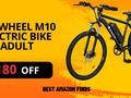 post_big/isinwheel_M10_Electric_Bike_Adult_1.jpg