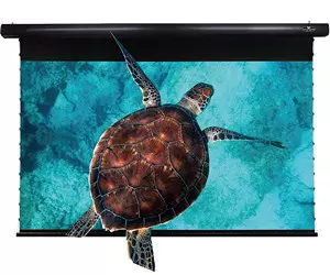 Vividstorm PRO Slimline Tension screen