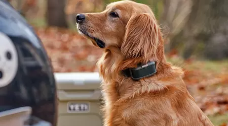 The world's first virtual dog leash has been unveiled. But animal rights activists won't like it