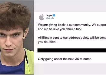 18-летнего хакера, который просил Bitcoin от имени Apple, Uber, Илона Маска и Барака Обамы в Twitter посадили в тюрьму на 3 года