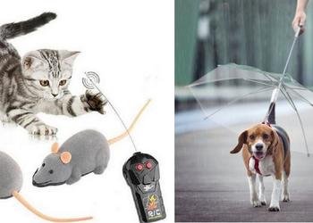 Без кота и жизнь не та: 13 гаджетов для любителей кошек и собак