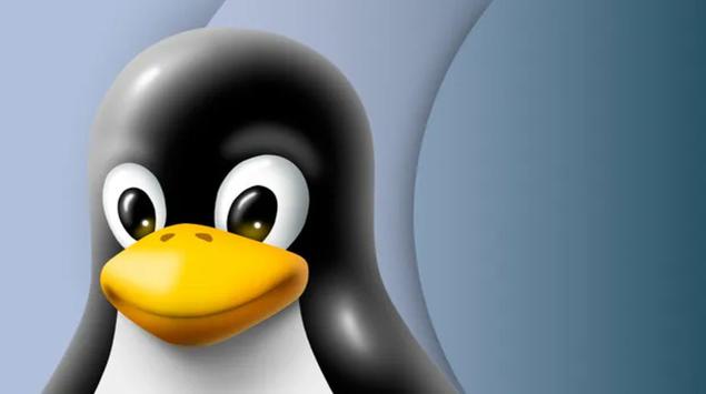 New Linux flaw: 'Wall' vulnerability poses ...