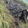 A Russian-made Mi-28NE Night Hunter helicopter crashed in Uganda, killing all crew members-10