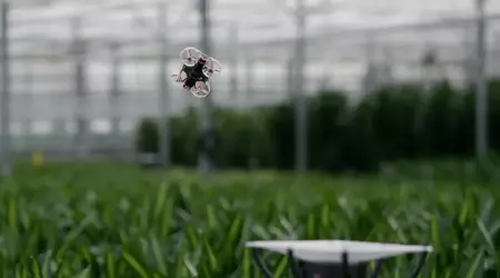 Dutch engineers want to exterminate insects in greenhouses using drones, IR cameras and artificial intelligence
