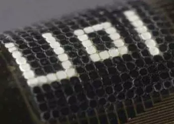 Ученые создали систему адаптивного камуфляжа на манер кожи каракатицы