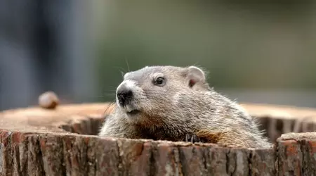 Analysts of JPMorgan predicted a drop in the price of bitcoin