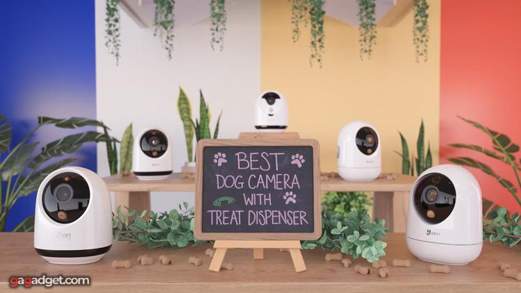 Migliore Videocamera per Cani con Dispenser ...