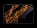 post_big/Samsung_Galaxy_Tab_S8_series_renders.jpg