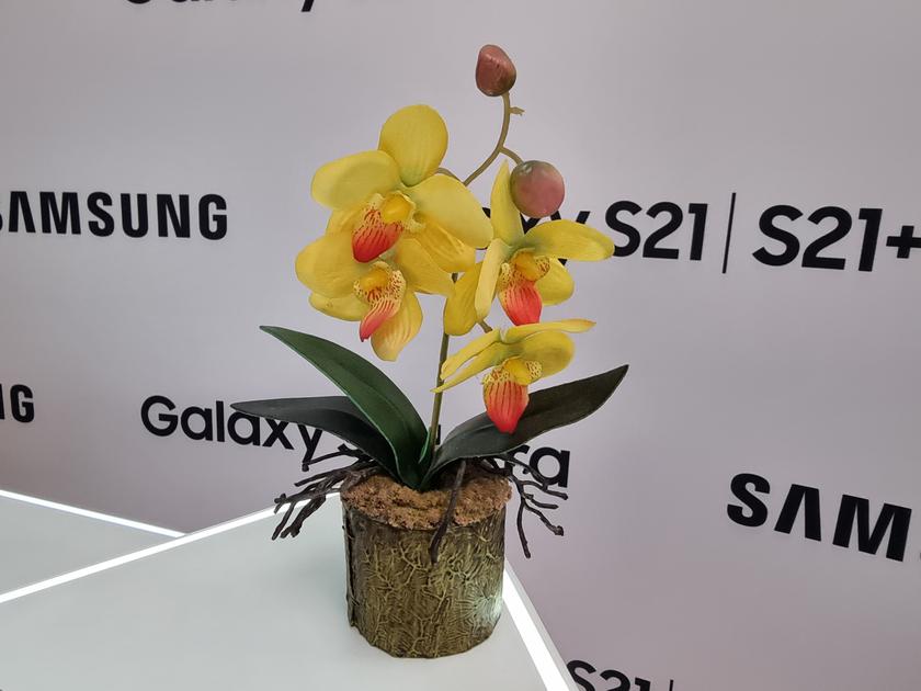 Флагманская линейка Samsung Galaxy S21 и наушники Galaxy Buds Pro своими глазами-37