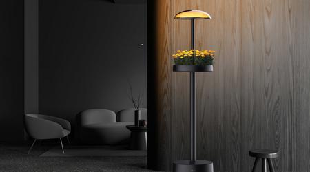 Ecology meets design: LG will launch LED floor lamps with a built-in mini-garden