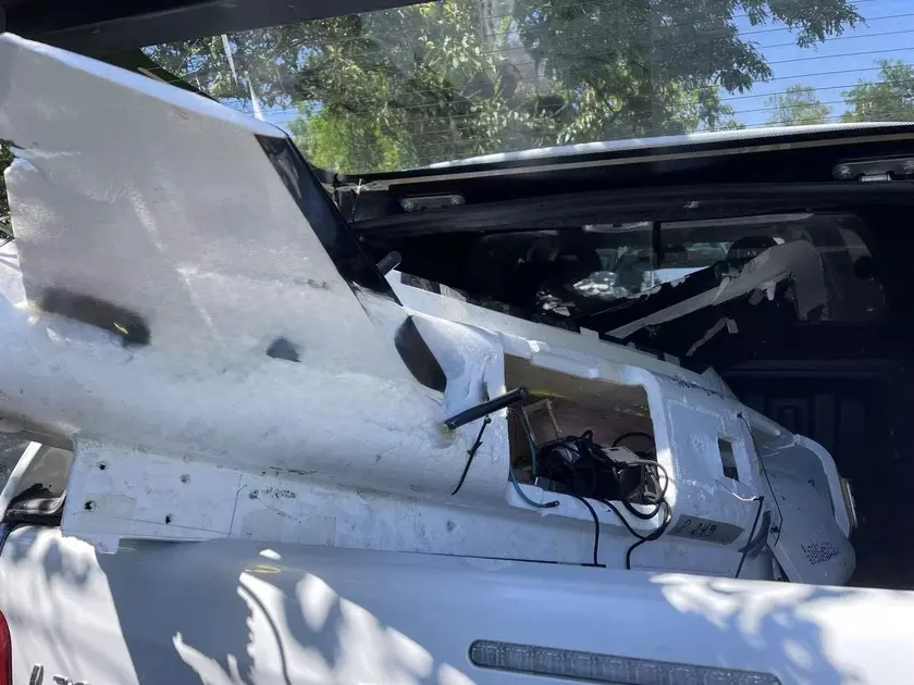 Вторжение дронов: акробатика технологий на примере БПЛА Гербера