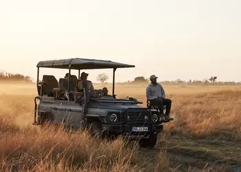 Ineos представил Grenadier Game Viewer — внедорожник в стиле сафари с мягким верхом