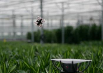 Ingenieros holandeses quieren exterminar insectos en invernaderos con drones, cámaras de infrarrojos e inteligencia artificial