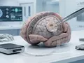 Китай обогнал Neuralink: первый в мире коммерческий нейрочип Neuracle выходит на рынок