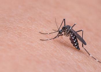 10 гаджетів для боротьби з комарами: ...