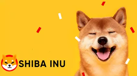 Un utilisateur investit 8 000 $ dans la crypto-monnaie Shiba Inu et gagne plus de 5 000 000 $