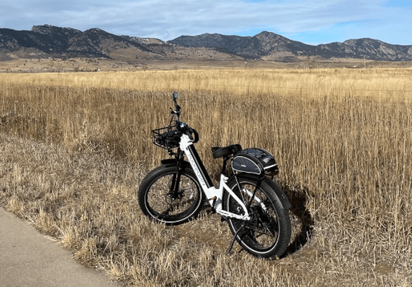 PUCKIPUPPY Samoyed E-Bike Review