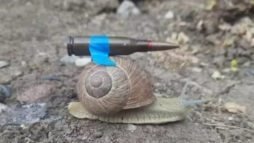 Германия предложит Украине 20 танков Leopard 2, по одному в месяц начиная с апреля 2023 года