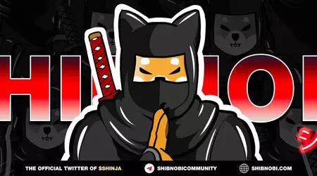 Un investisseur a gagné 3 200 000 $ sur la crypto-monnaie meme de Shibnoni en trois mois – après la vente, le prix de l'actif a chuté