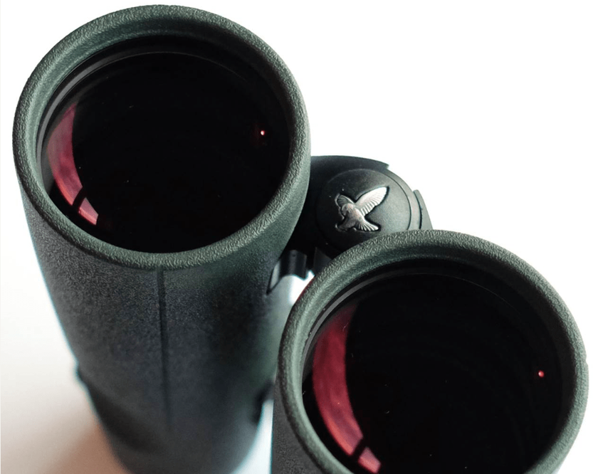 Swarovski EL 10x50 Binocular antipolvo
