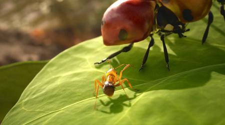 PlayStation 5 and Xbox Series users will be able to purchase a physical edition of the strategy game Empire of the Ants - a new trailer of the ambitious game has been unveiled