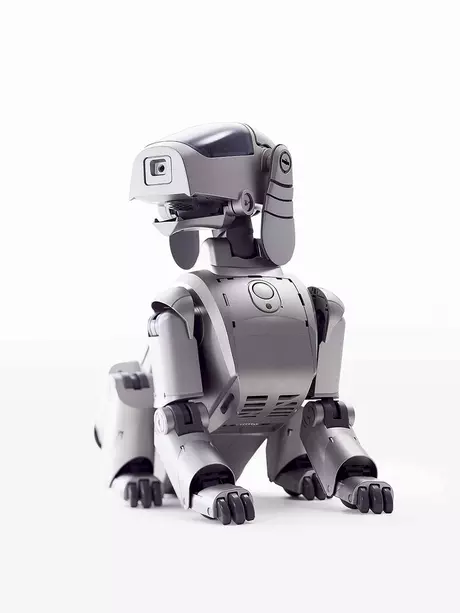 Sony Aibo's RoboPass turns 25 - we recall how it was | Gagadget.com