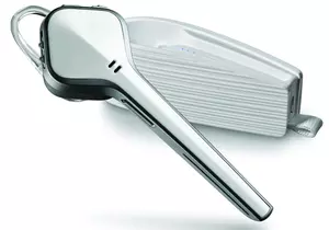 «Верный читатель»