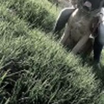 Анастасия Нечепаева