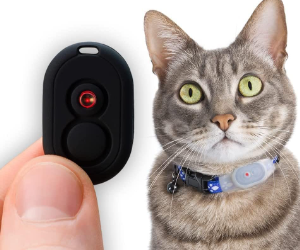 Tabcat Smart Cat Tracker