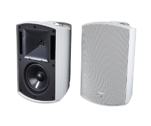 Klipsch AW-650 Indoor/Outdoor Speaker
