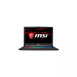 MSI GP73 8RE Leopard (GP738RE-609US)