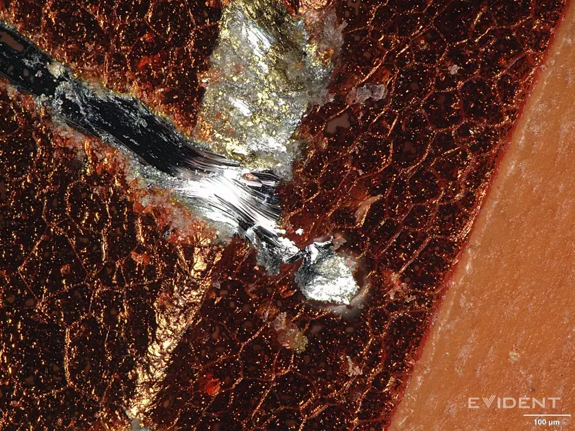 Тайны iPhone 17 Pro под микроскопом: что скрывает новейшая технология?