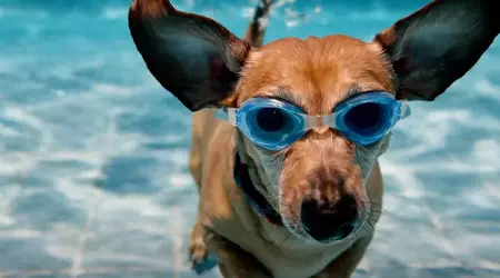 Dans Gemini Advanced, la génération de vidéos Veo 2 a été ajoutée - vous pouvez créer des clips de qualité cinématographique jusqu'à 8 secondes